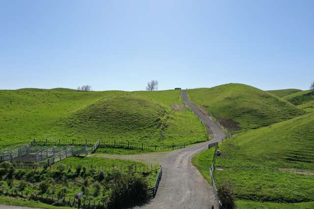 525 Pollock Road Feilding_2