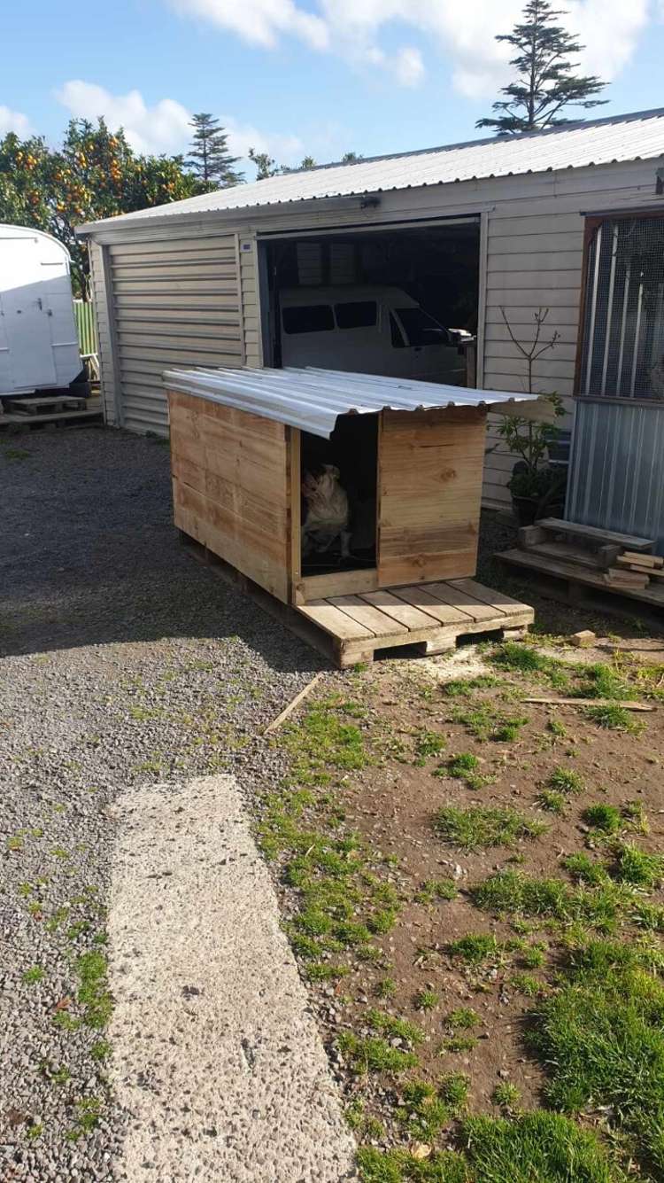 5 Bracken Avenue Te Aroha_7