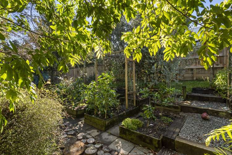 21 Mawson Avenue Torbay_19