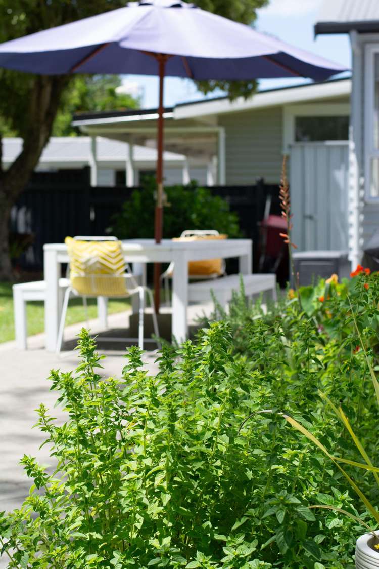 36 Park Street Morrinsville_29