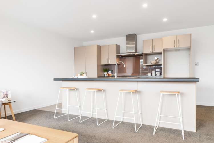 16 Millar Street Sydenham_8