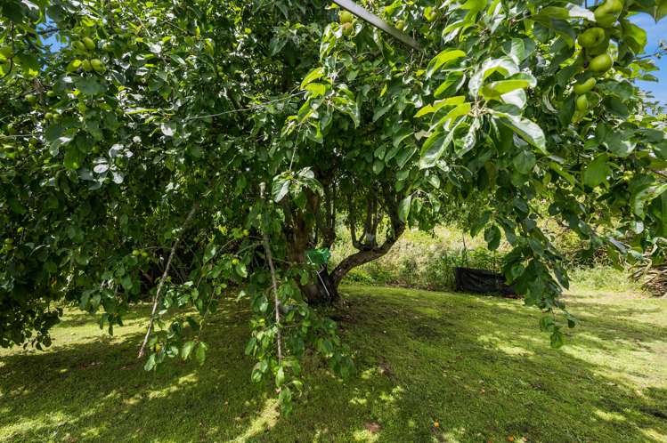 10 New Road Taumarunui_22