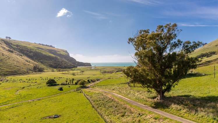 461 Goughs Road Goughs Bay_5