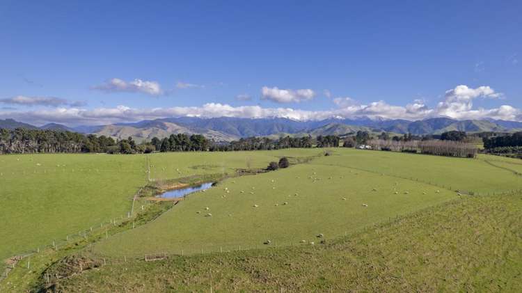 Burnetts Road Masterton_14