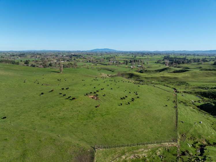 134 Old Te Aroha Road Te Poi_17