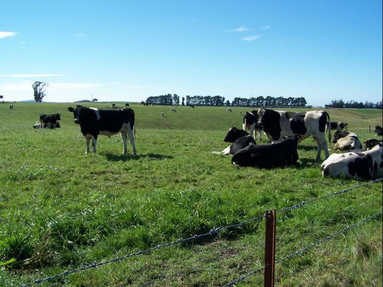 126 Happy Valley Road Maheno_5