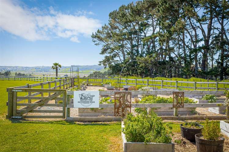 135c Hutchinson Road Helensville_37