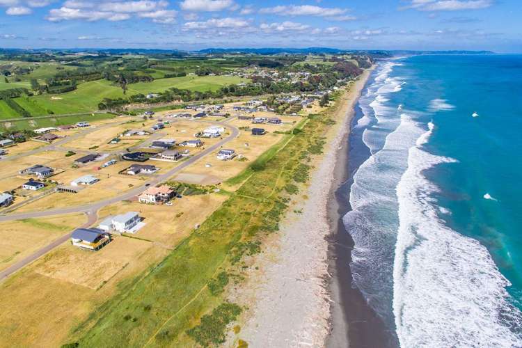 1 Rimu Rimu Key Opotiki and Surrounds_10