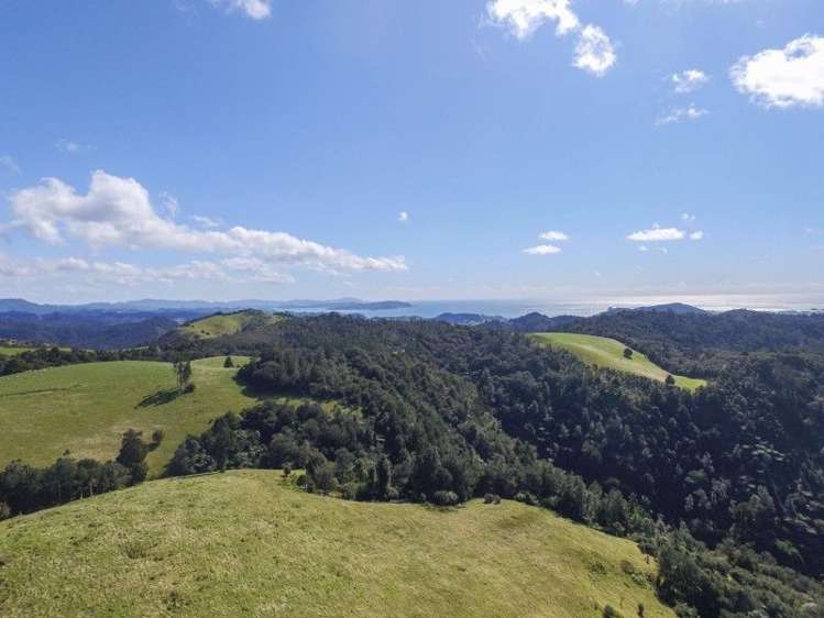 884 Kaiikanui Road Hukerenui and Surrounds_3