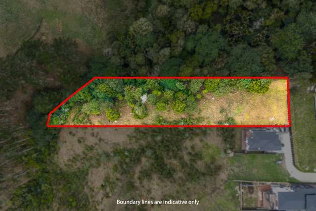 A Dream Once Planned, Now Offered in Urgency