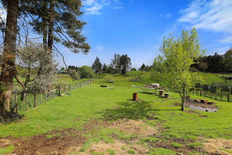 45 Tawhero Street Mamaku_14