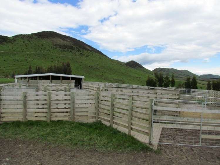 1477 Waimea Valley Road Gore Surrounds_6