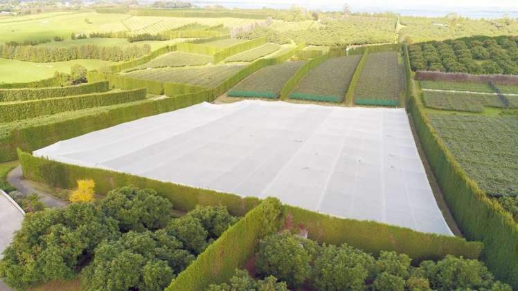 168 Ongare Point Road_0