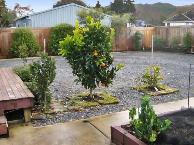 92 Ngatai Street Taumarunui_3