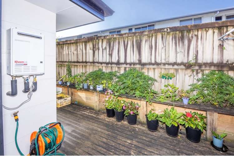 4/287 Ulster Street Whitiora_10
