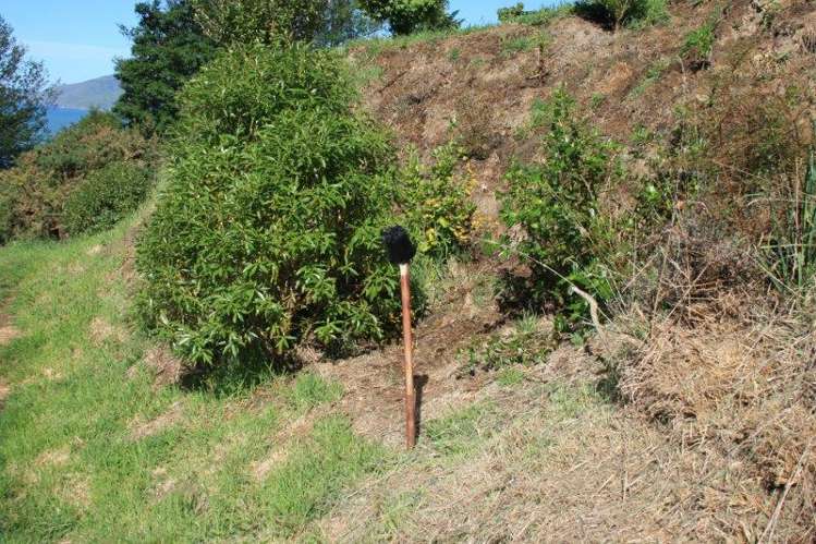 30 The Terrace Governors Bay_25