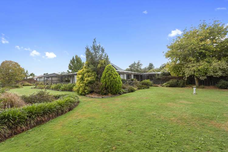 15 Reeves Street Cheviot_18