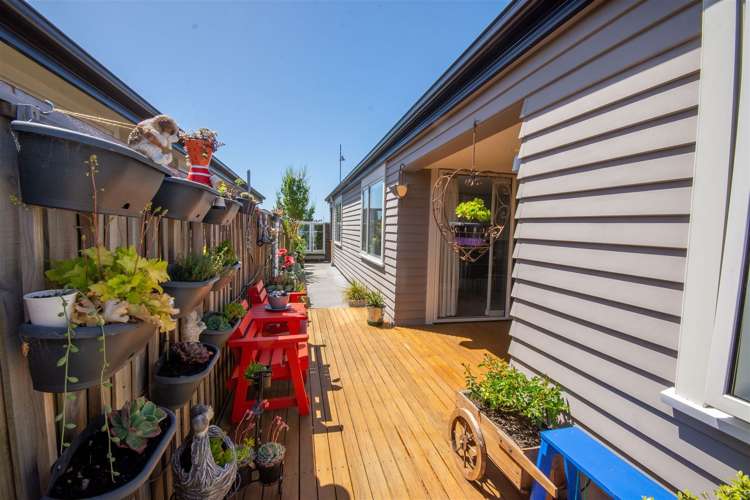 13 Hodgkinson Road Pegasus_13