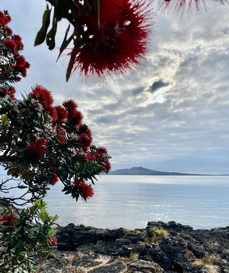 11 Ocean View Road Milford_16