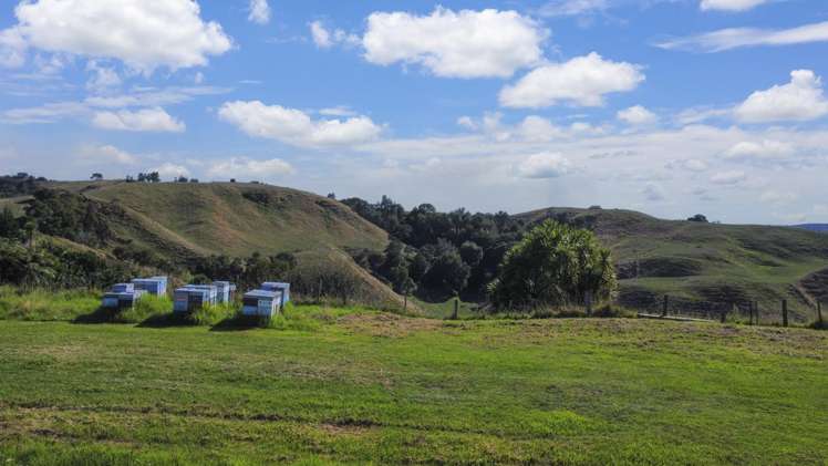 443C State Highway 2 Opotiki_17