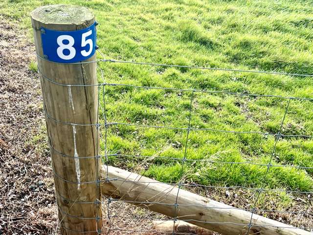 85 Otatara Road Otatara_4
