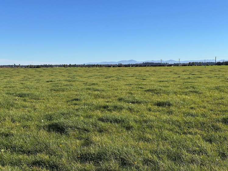 Rakaia Terrace Road Te Pirita_6