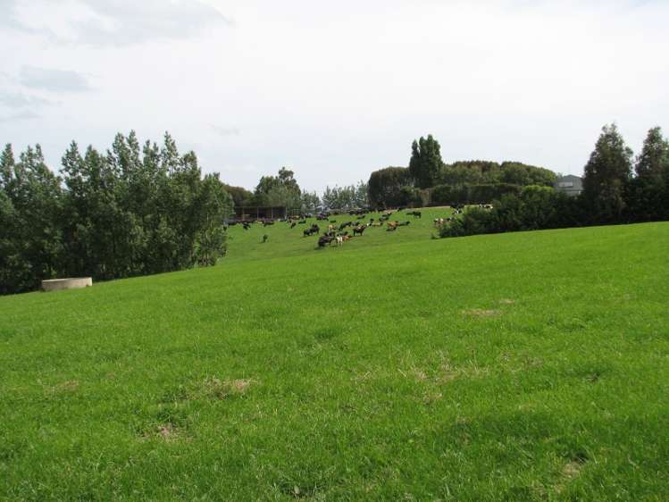 80 Blackburn Road Balclutha_7