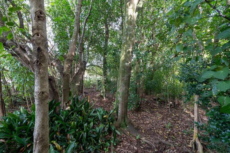 118 Gladstone Road Levin_18