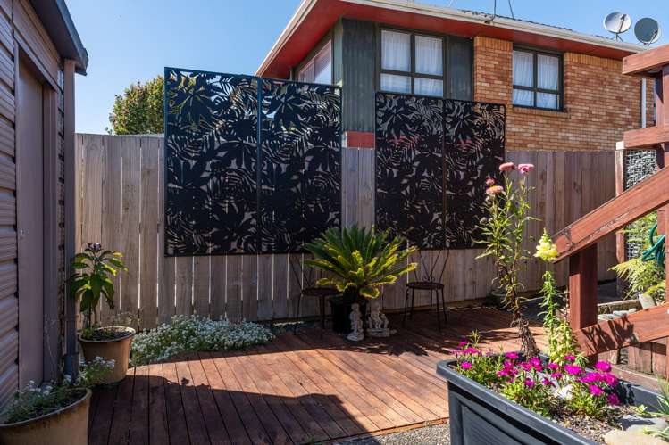 215 Ohaupo Road Glenview_15