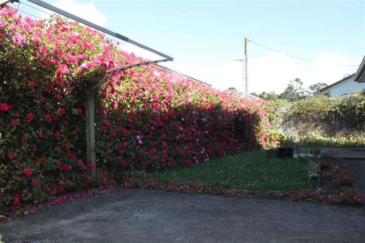 72 Clover Drive Henderson_8