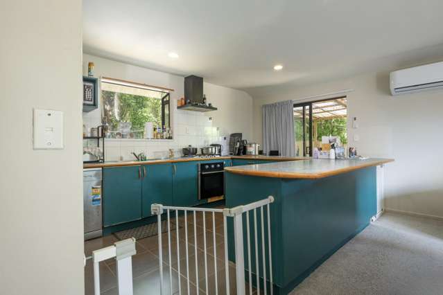 11a McIlroy Avenue Hillsborough_3