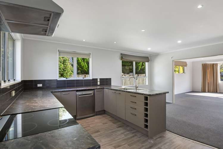 25 Hodgkins Street Pukehangi_4