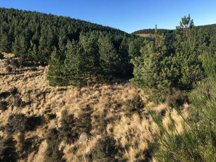 581a Mcqueens Valley Road Gebbies Valley_9