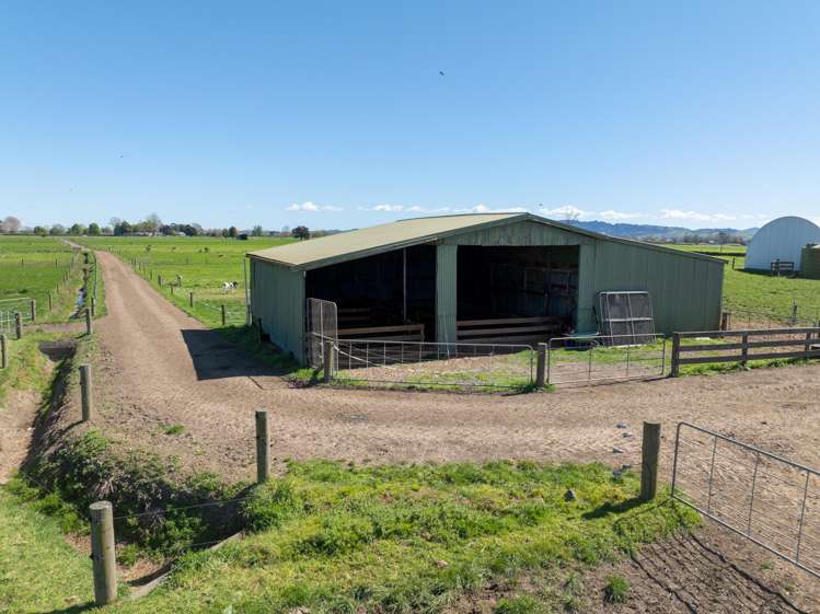 64 No 4 Road Morrinsville_17