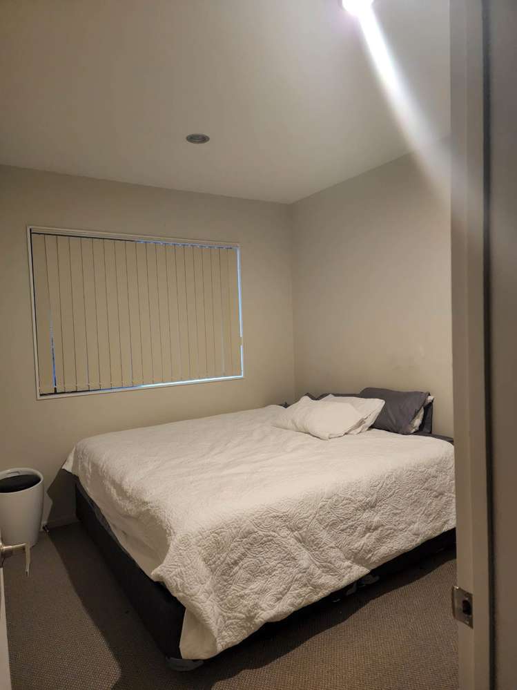 15 Wychwood Avenue Henderson_11