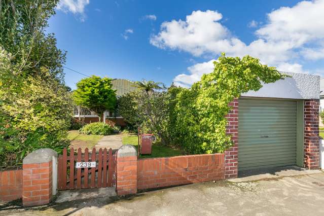 239 Rintoul Street Berhampore_1