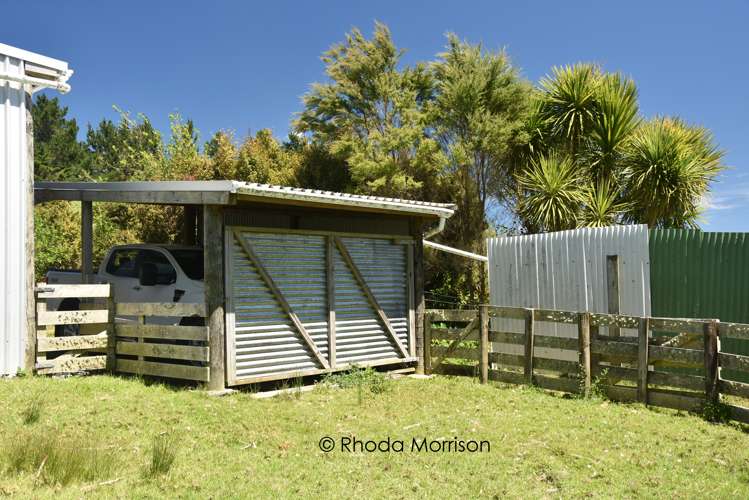 311 Franklin Road Paparoa_42