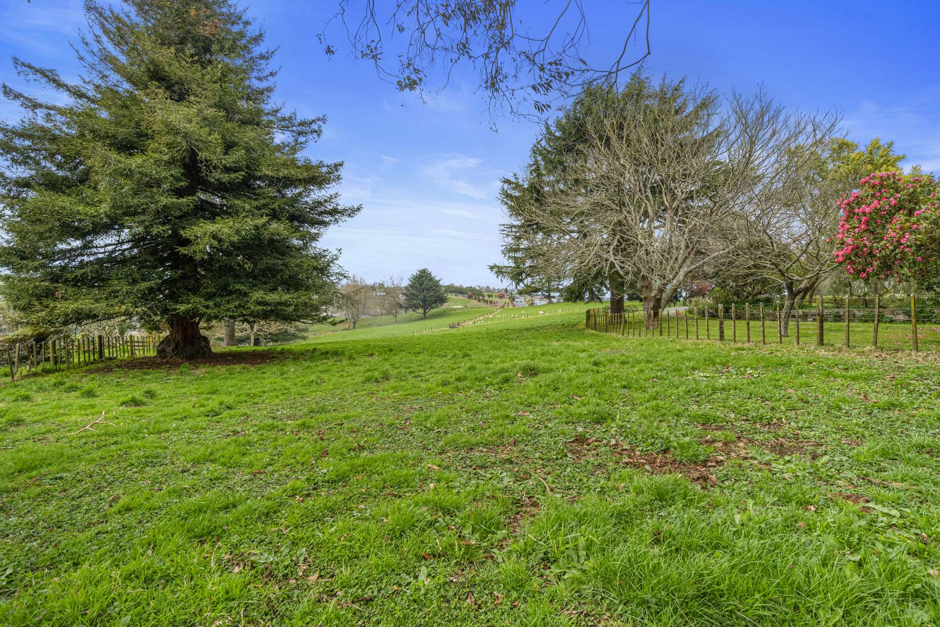 888 Bond Road Te Awamutu_0