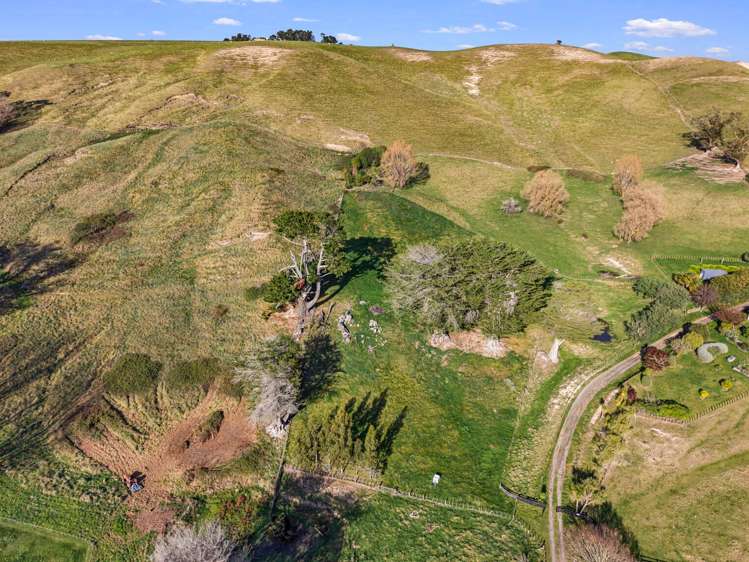 4, 127 Ongaonga Road Waipawa_5