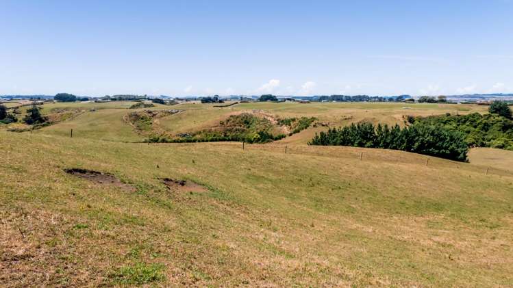 0n Douglas Street Sections Hawera_13