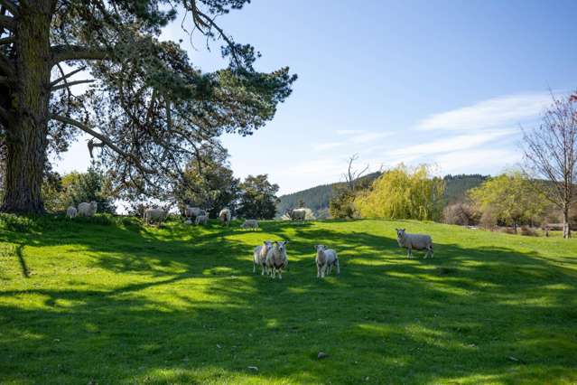 90 year old character home on 7 hectares