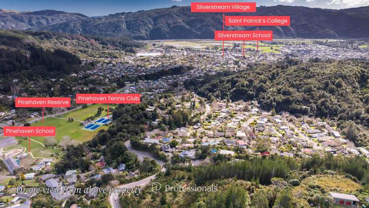 111 and 113 Blue Mountains Road Blue Mountains_18