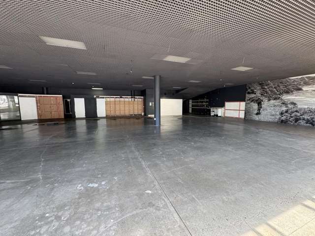 181 Vivian Street Te Aro_2