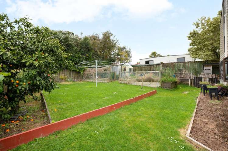 4 Tupelo Street Pukete_16