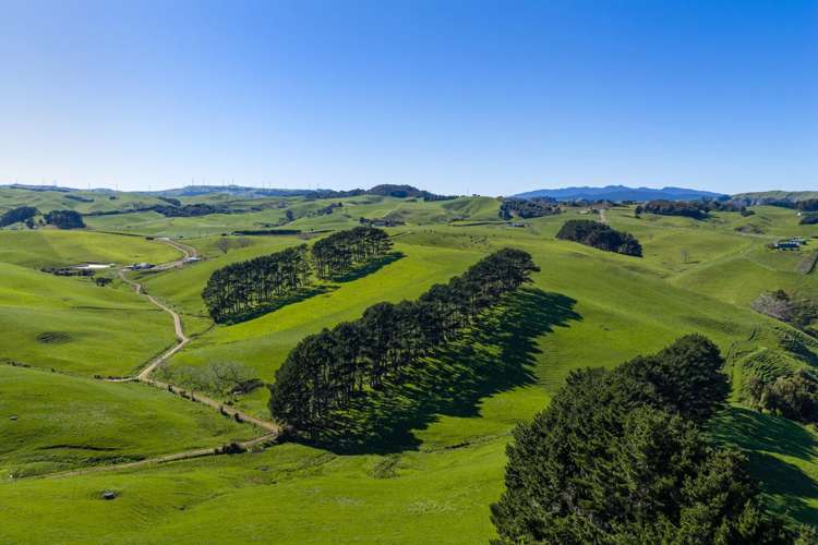 44 Te Papatapu Road Raglan_17
