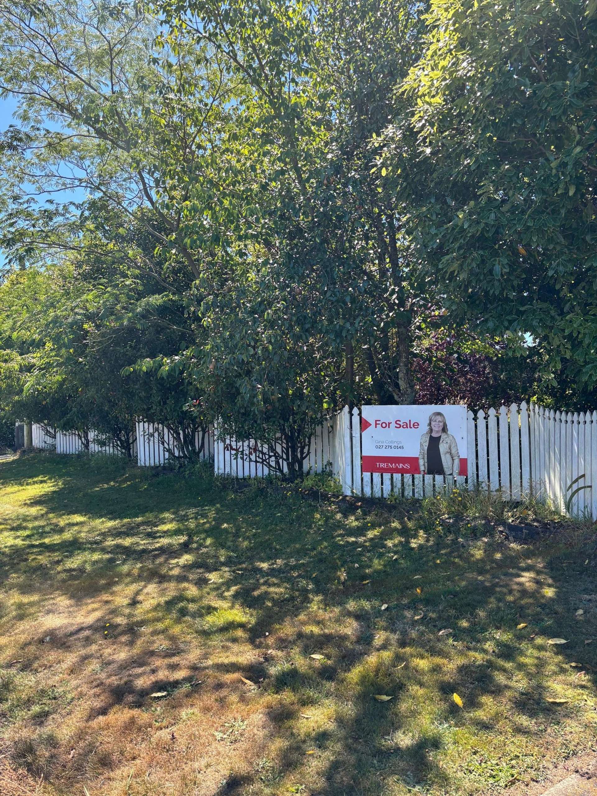 26 Philip Street Carterton_0