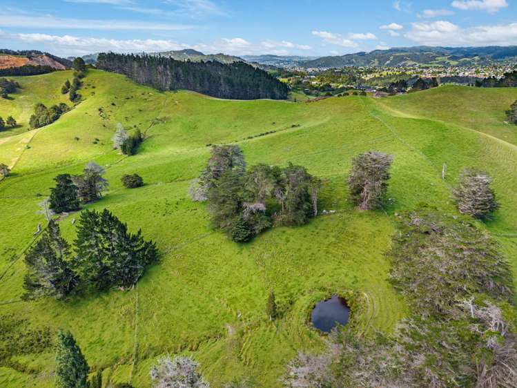 54 Harris Road Glenbervie_6