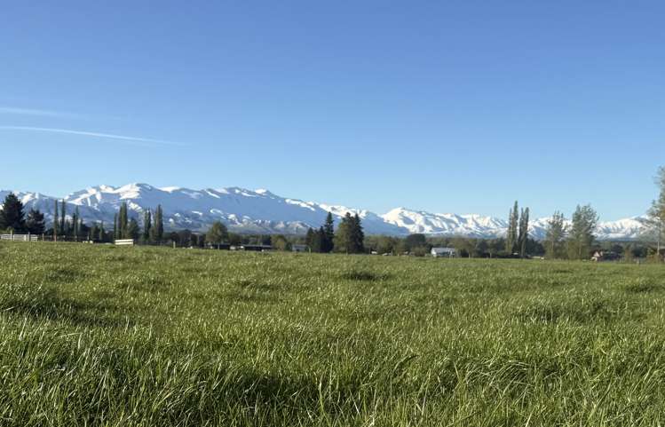 141 Nixons Road Fairlie_11