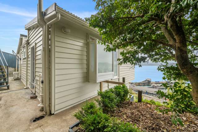 64 Barnard Street Wadestown_1