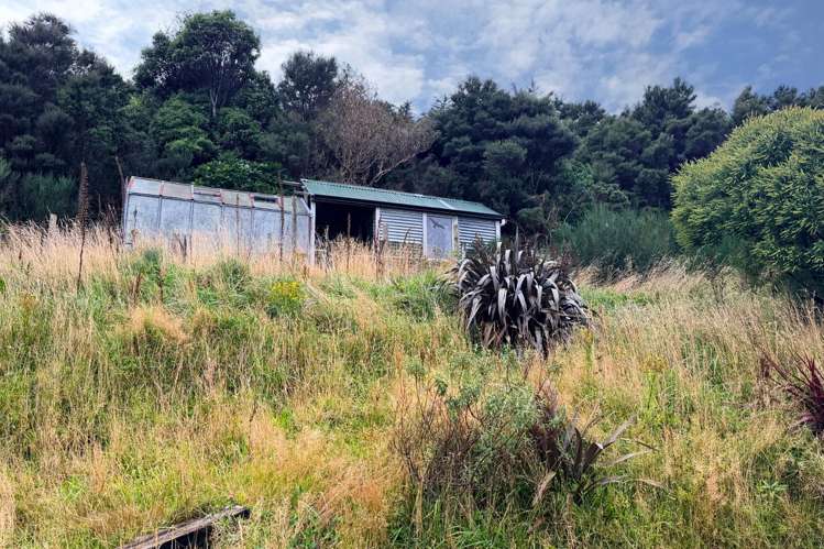 521 Mount Cargill Road Waitati_16